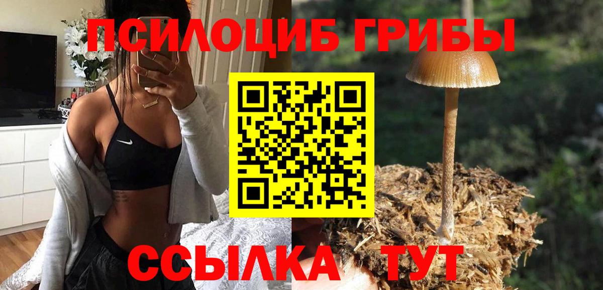 Кинель  Галлюциногенные грибы Psilocybine cubensis  Псилоцибиновые грибы прущие грибы  Вход с VPN 